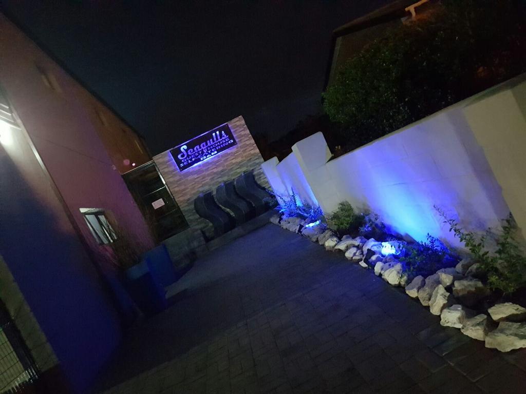 Seagulls Guest House لانجيبان المظهر الخارجي الصورة